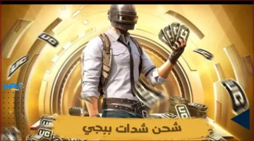 41100 شدات مجانًا.. شحن ميدياس باي يوفر شدات ببجي لتفعيل الرويال باس وفتح الصناديق النادرة بسهولة